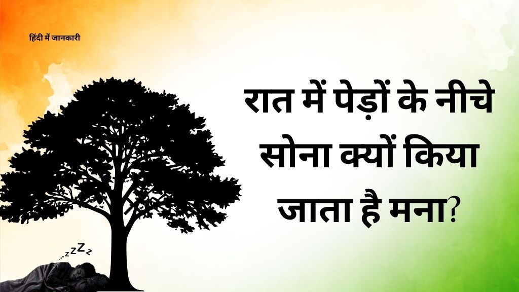 रात में पेड़ों के नीचे सोना क्यों किया जाता है मना?